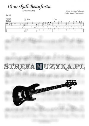10 w skali Beauforta - Czerwone Gitary - Gitara Basowa - StrefaMuzyka.pl