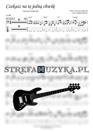 Czekasz na tę jedną chwilę - Seweryn Krajewski - Gitara Basowa