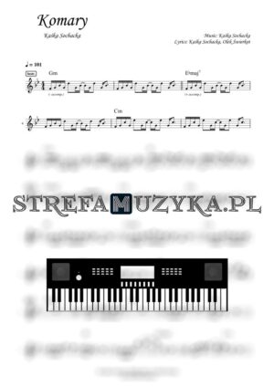 Komary - Kaśka Sochacka - Keyboard - StrefaMuzyka.pl
